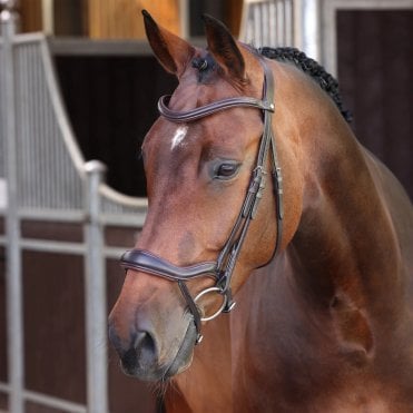 Velociti LUSSO Elite Ergonomic Flash Bridle