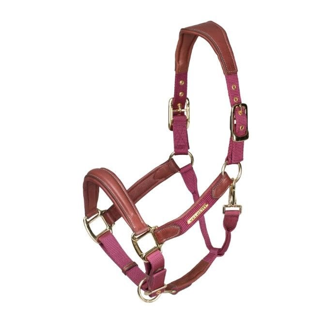 Shires Velociti Lusso Padded Leather Headcollar