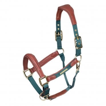 Velociti Lusso Padded Leather Headcollar