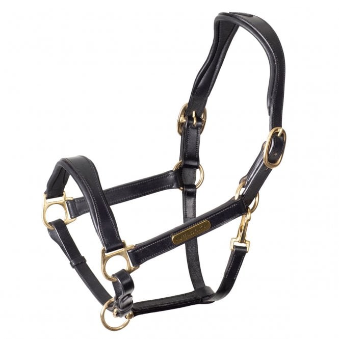 Shires Velociti Rapida Comfort Leather Headcollar