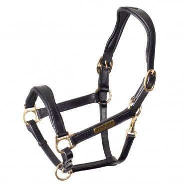 Shires Velociti Rapida Comfort Leather Headcollar
