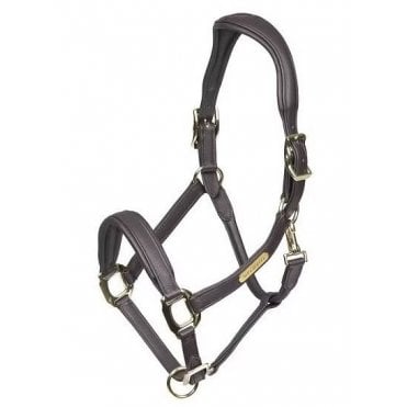 Velociti Rapida Comfort Leather Headcollar