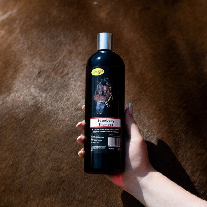Smart Grooming Strawberry Red Shampoo