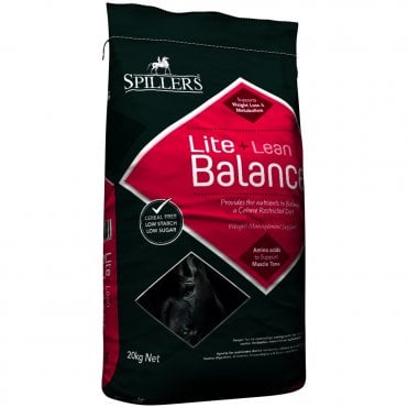 Lite & Lean Balancer