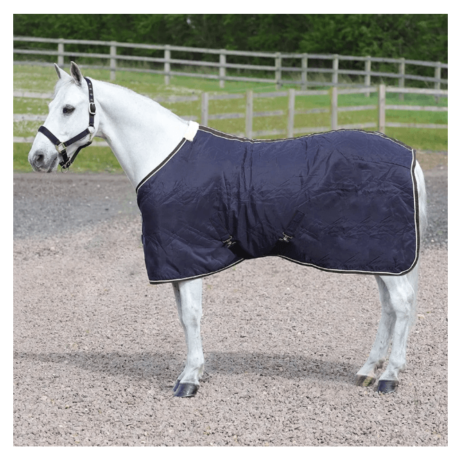 StormX Original Luxury Show Rug
