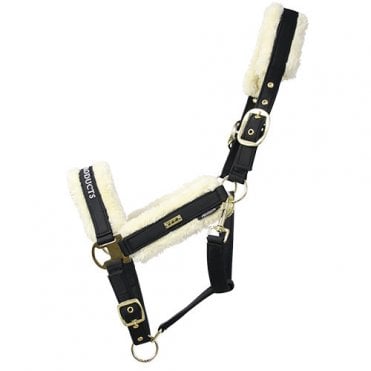 Royal Occasion Headcollar