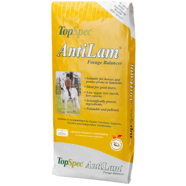 AntiLam