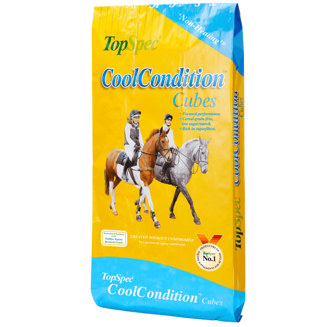 Topspec Cool Condition Cubes