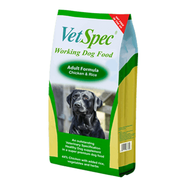 Working Dog Adult