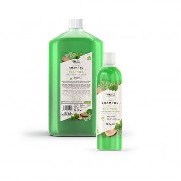 Tea Tree Showman Shampoo